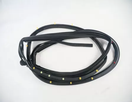 Door seal, rear right