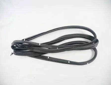 Door seal, front left