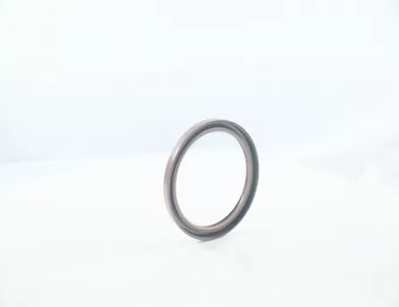 Oil seal after bending