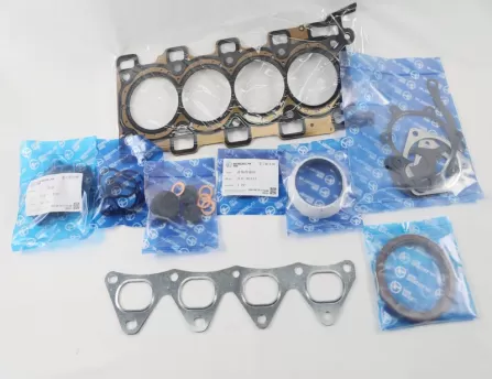 Overhaul Kit 4G13T Fluorine Rubber/Iron Pad