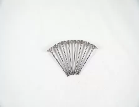 Valve Exhaust B15 1.3T 1.4T