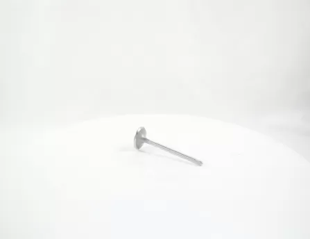 Intake valve CHERY T11