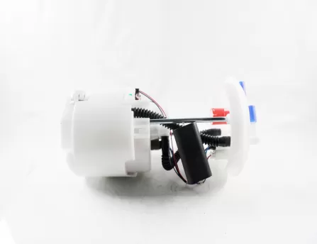 Gasoline pump assembly  D20