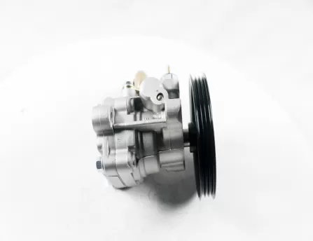 Steering pump  D20